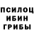 Ecstasy круглые DiversantBEAR,38:11