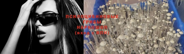 гашик Володарск