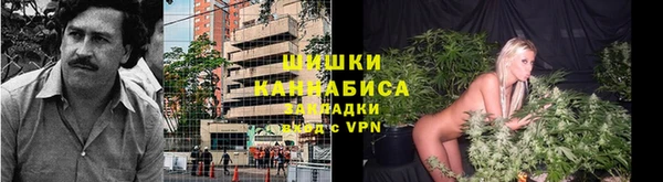 гашик Володарск