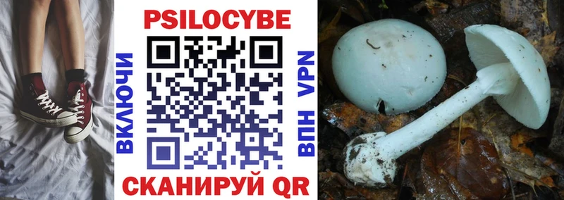 Псилоцибиновые грибы мицелий  Арзамас 